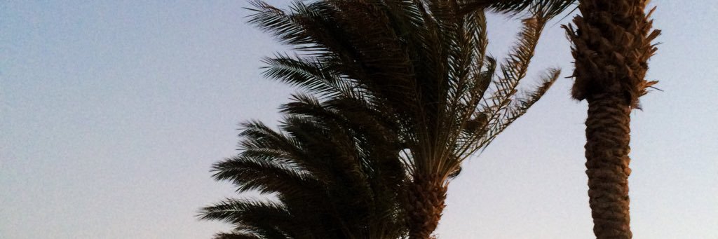 bartzchph's profile banner image