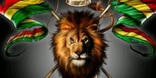 Drephenomenal's profile banner image