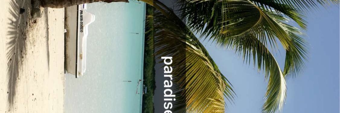 Daniela13D's profile banner image