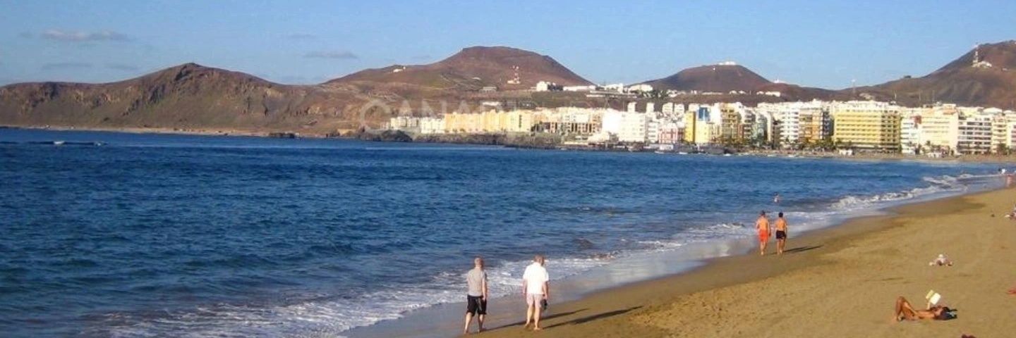 guanche_GC's profile banner image