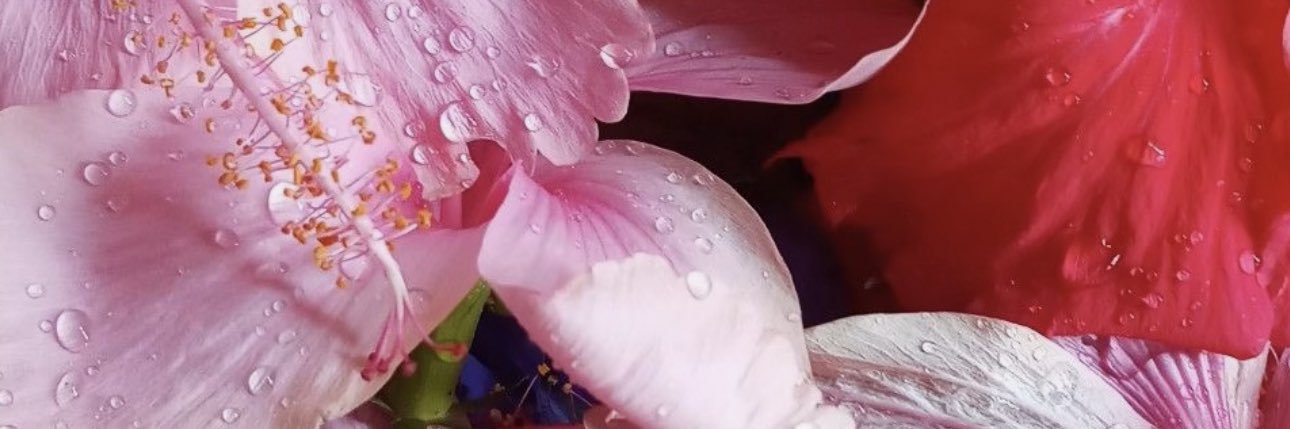 Zee 🌺's banner