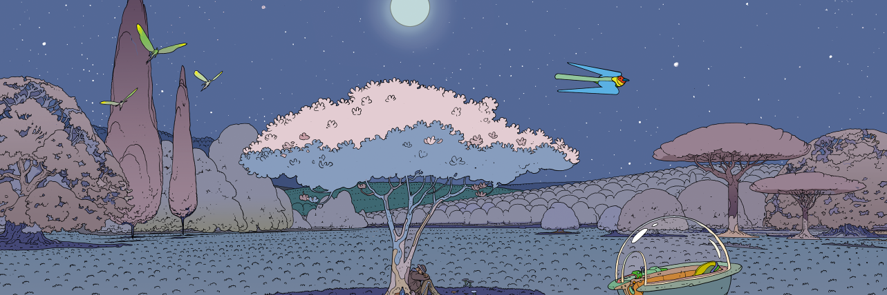 elkokba's profile banner image