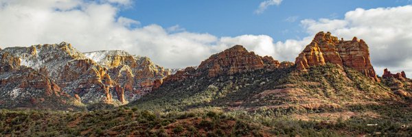 Holly🌵 Profile Banner