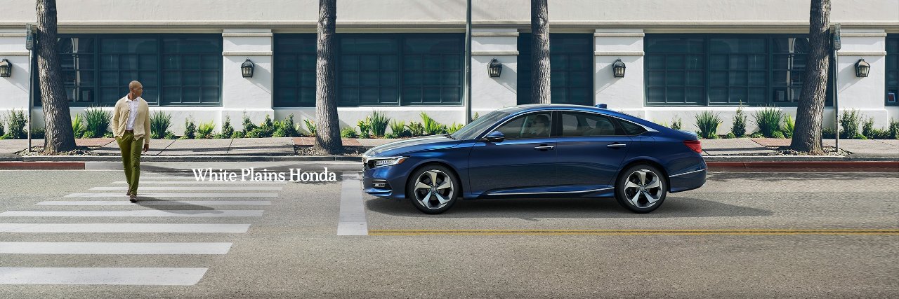 White Plains Honda banner