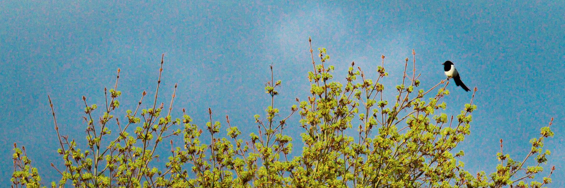 rlpuu's profile banner image
