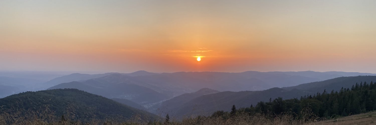 пшеничність banner