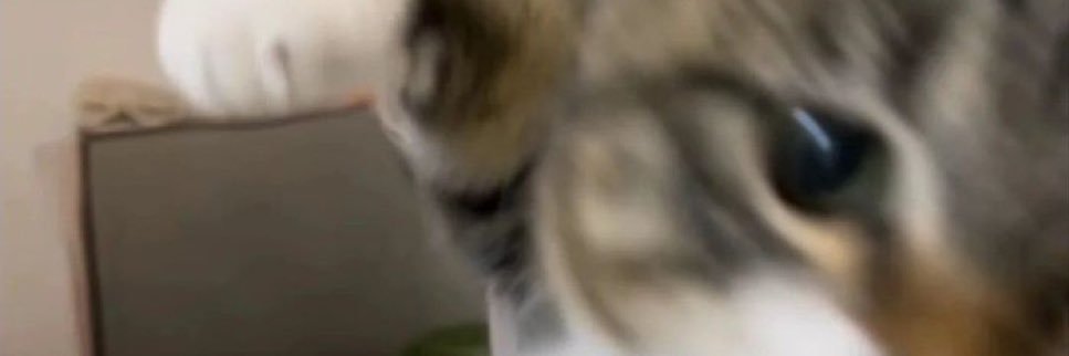 sa banner