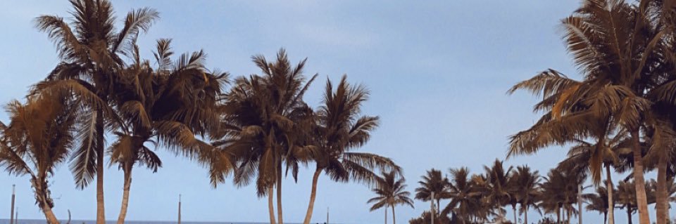 __Solitaire_'s profile banner image