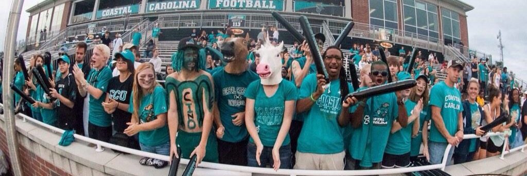 ccustallion's profile banner image