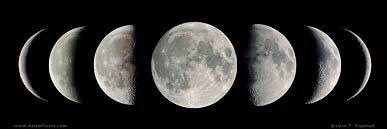 moonchild banner
