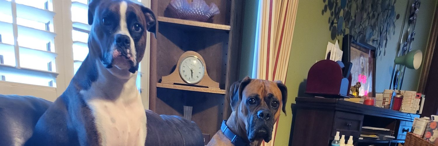skipperville's profile banner image
