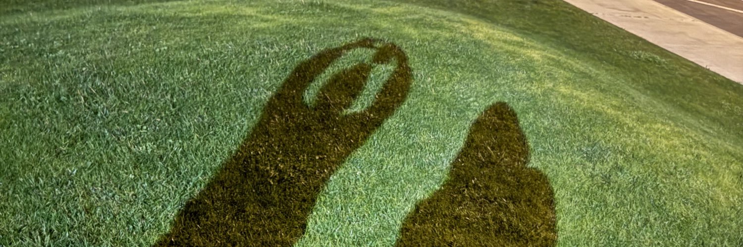 namesnella's profile banner image