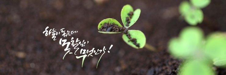 chambitseaw's profile banner image