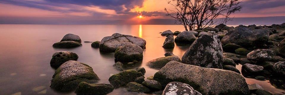 Génesis Espinal banner