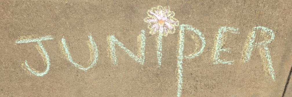 Juniper banner