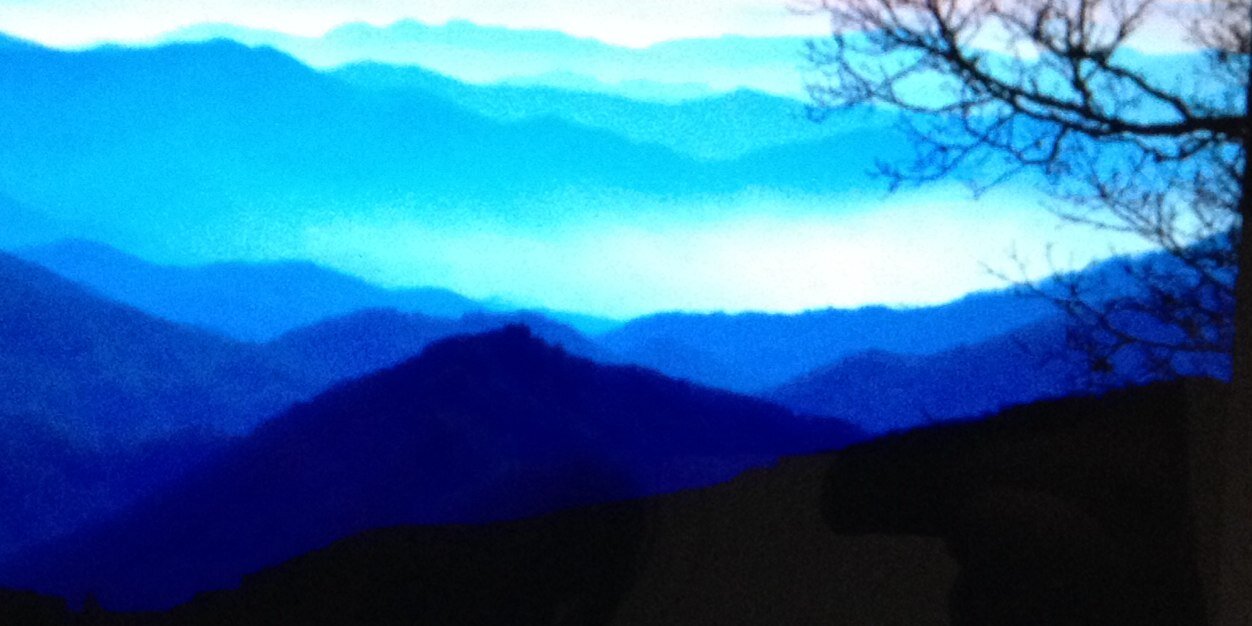 Grace Lee banner