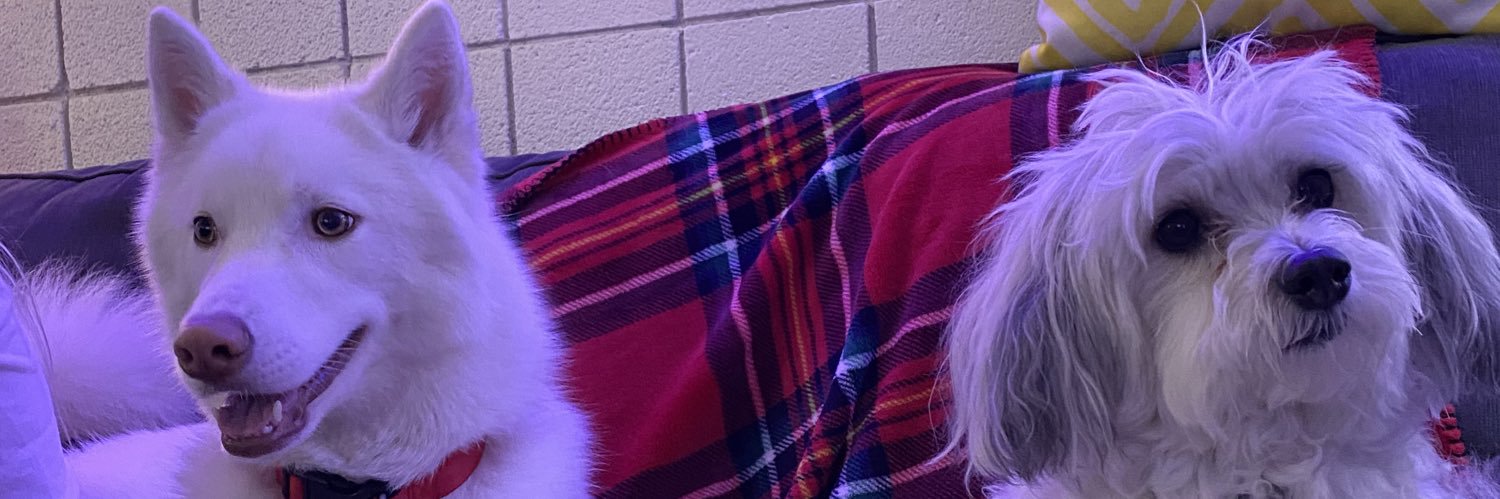 _dontbeSILLY_'s profile banner image