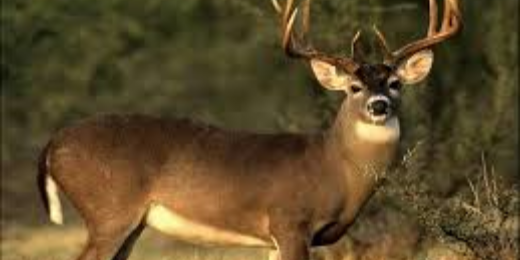 Farmboy4691's profile banner image