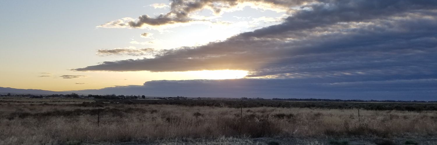 ChaineMewes's profile banner image