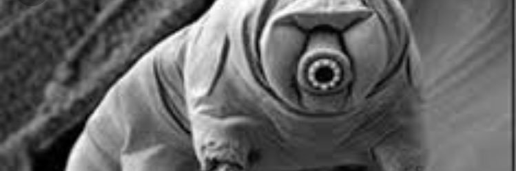 MsOConnorSci's profile banner image