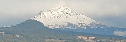 El Compa Ñero🦉 banner