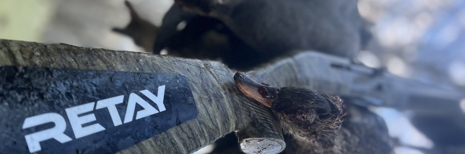 dawsoncayle's profile banner image
