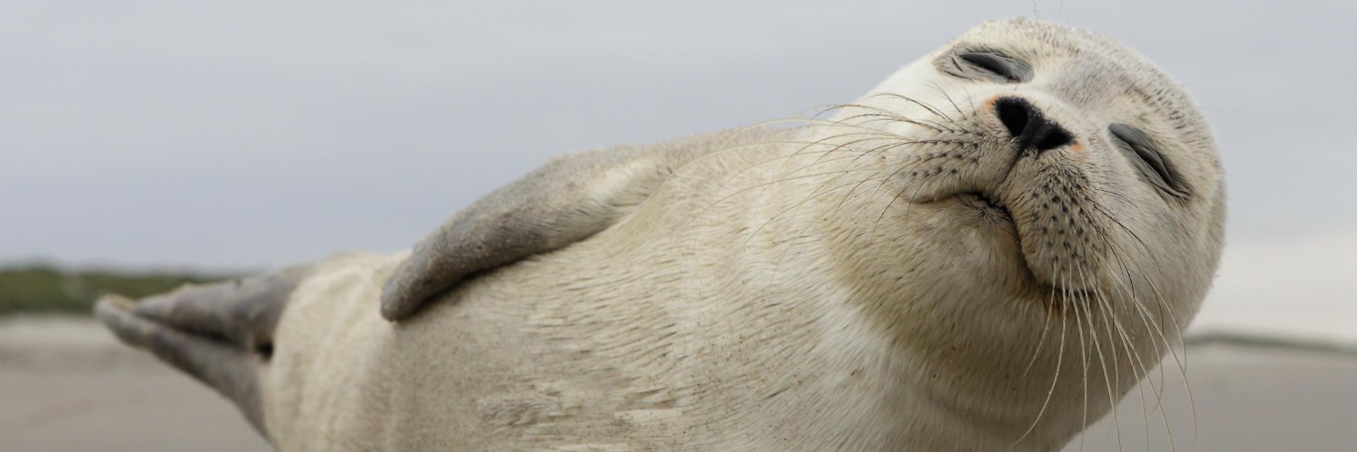 leocrocetti's profile banner image