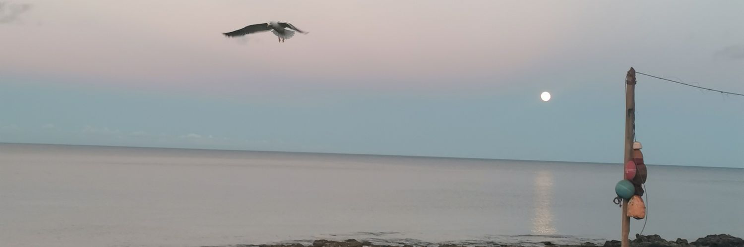 Joel Delgado banner