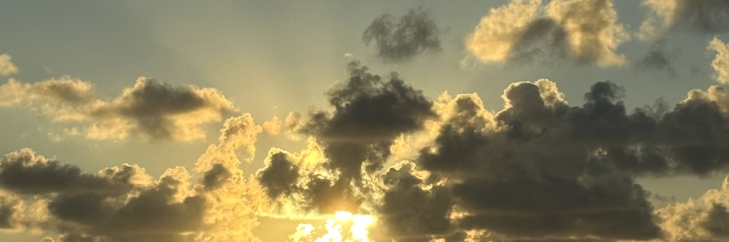 veroaecuri's profile banner image