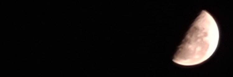 Federica Silvera banner