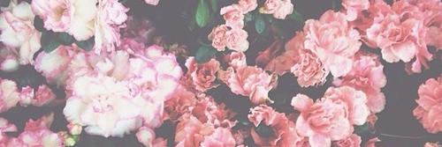 just_hannie's profile banner image