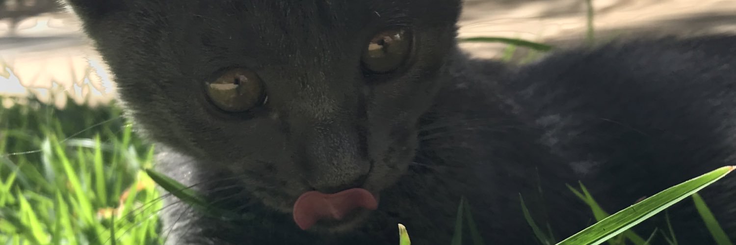 luizra's profile banner image