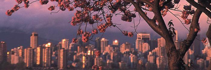 RealtorLindsie's profile banner image