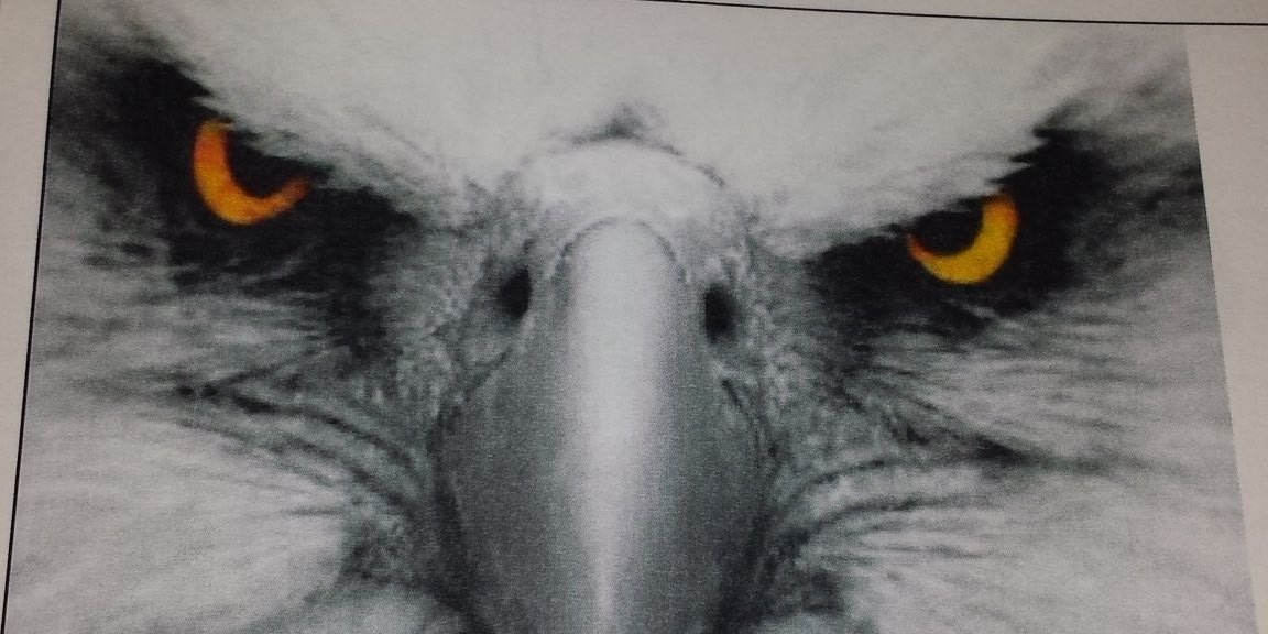 Columbia Football banner