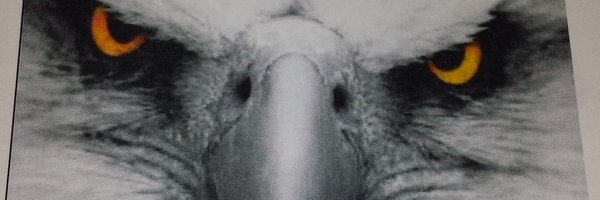 bluepridefb1 Profile Banner
