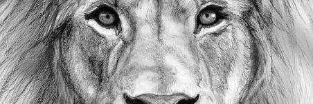 swag10150's profile banner image
