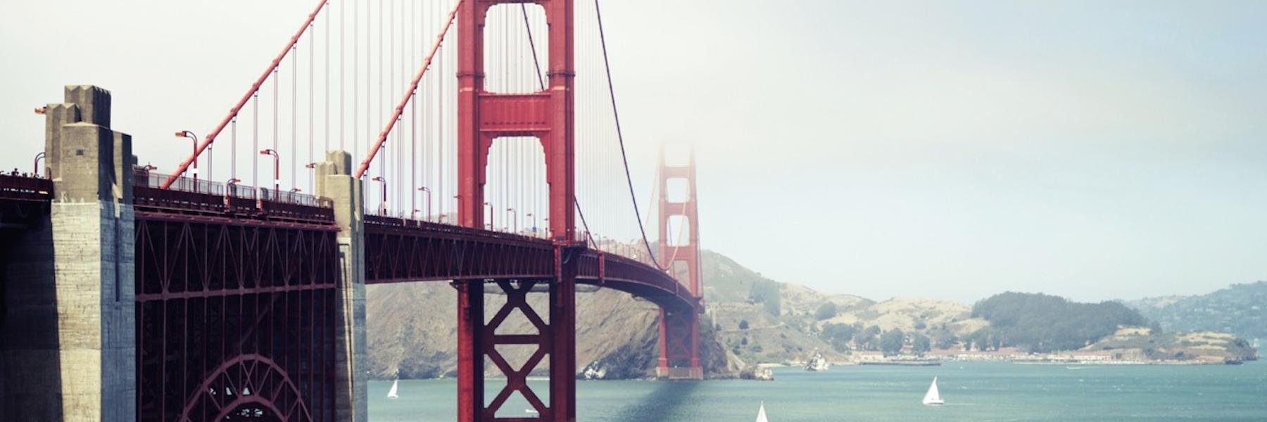 Alex Koren banner