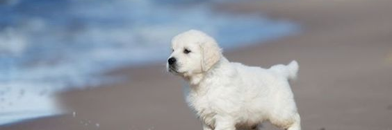 fernanda fernandez m banner