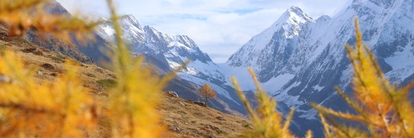 meteoschweiz Profile Banner