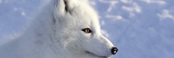 runlun88's profile banner image