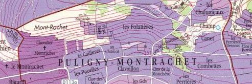 Matthew Starr banner