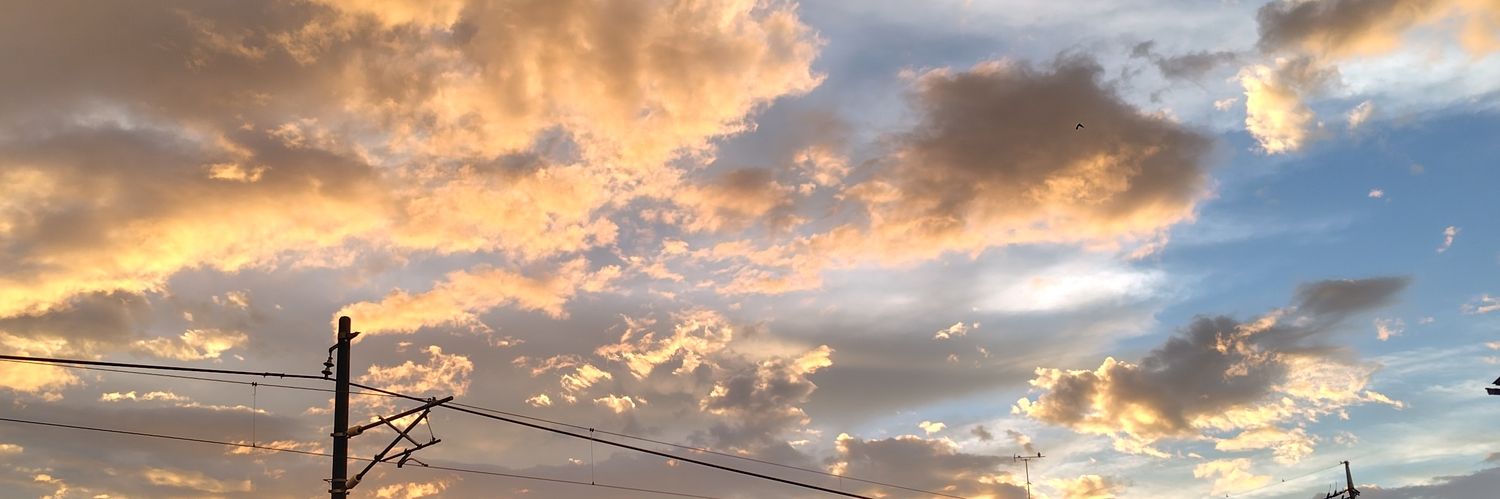 空狩(すかる)@ミアレ観光中 banner