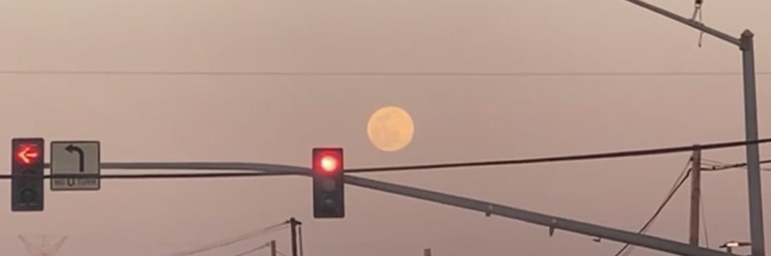 alemuch's profile banner image
