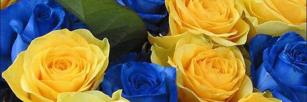 Гульжан К banner