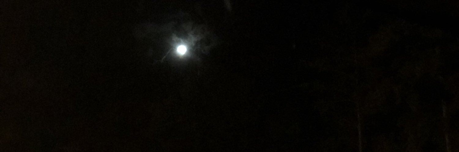 RiizaGoat's profile banner image