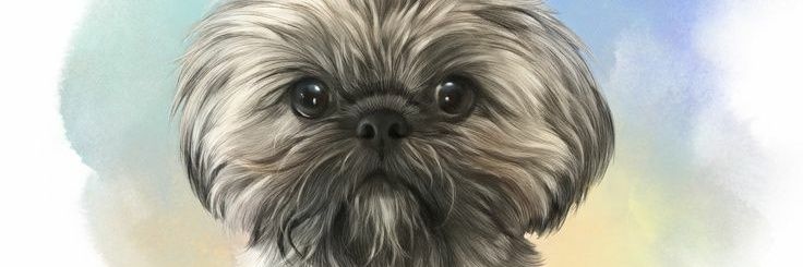 BrandJT0's profile banner image