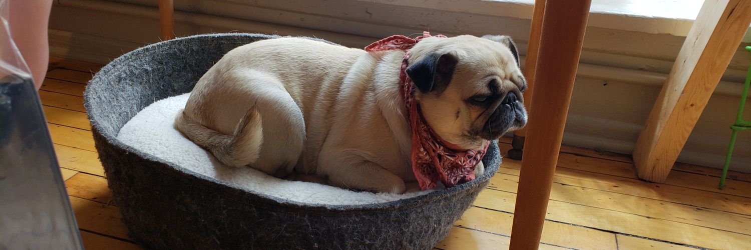 Devin Hayostek banner