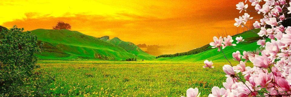 mbgrava's profile banner image