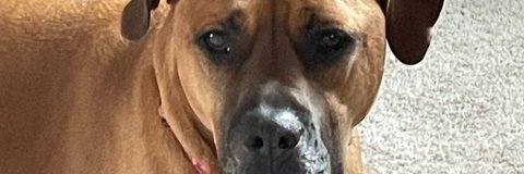 bbjeagle's profile banner image