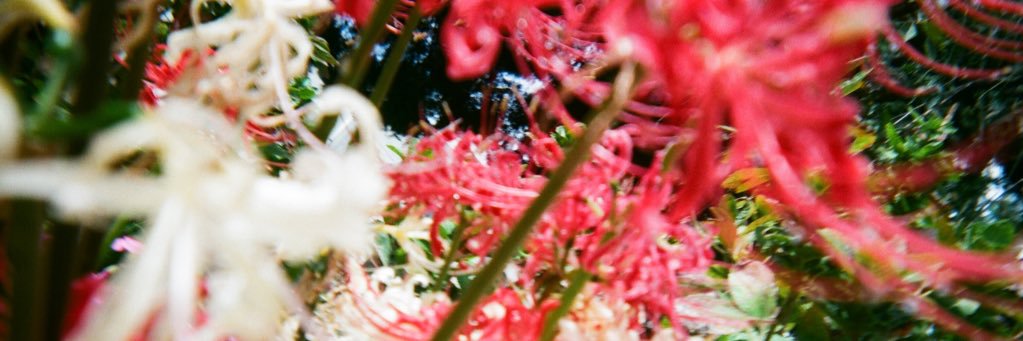 _0o12oswl_'s profile banner image